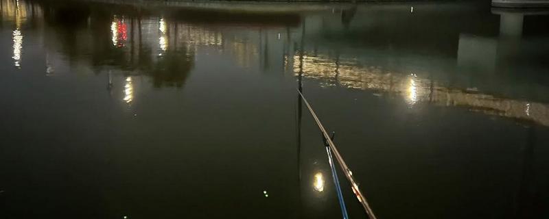 夜光漂钓鲤鱼怎么调漂,调漂时注意钓灵