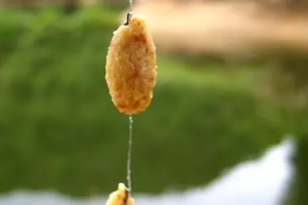 搓饵是什么，是钓鱼人最常用的上饵方法之一