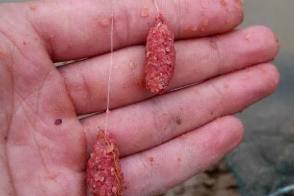 搓饵是什么，是钓鱼人最常用的上饵方法之一