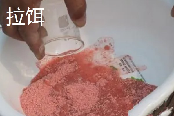 搓饵是什么，是钓鱼人最常用的上饵方法之一