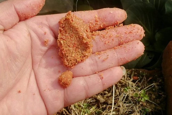 搓饵是什么，是钓鱼人最常用的上饵方法之一