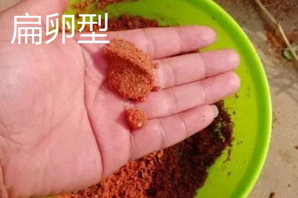 搓饵是什么，是钓鱼人最常用的上饵方法之一