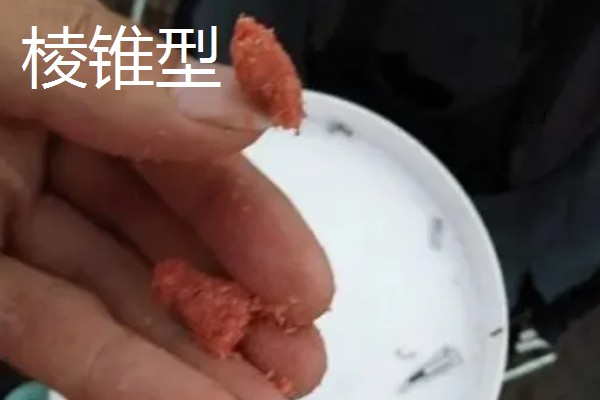 搓饵是什么，是钓鱼人最常用的上饵方法之一