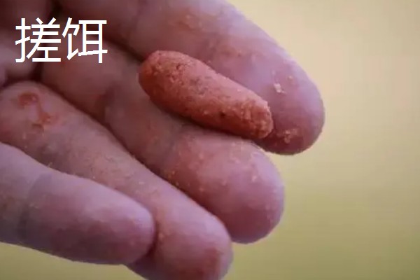 搓饵是什么，是钓鱼人最常用的上饵方法之一