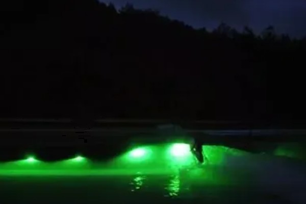 夜光漂钓鲤鱼怎么调漂,调漂时注意钓灵