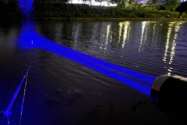 夜光漂钓鲤鱼怎么调漂,调漂时注意钓灵