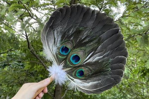 七彩山鸡养殖要办哪些证件,需要野生动物驯养繁殖许可证