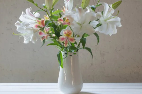 养殖百合花的方法,开花前要追施磷钾肥