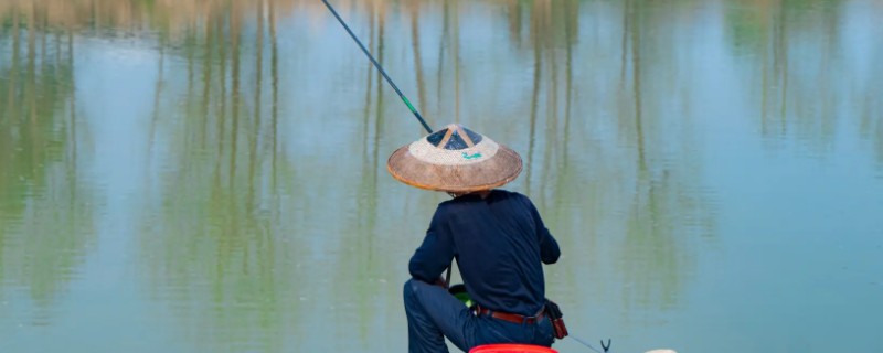 红眼鲮鱼怎么钓，饵料要选择素饵