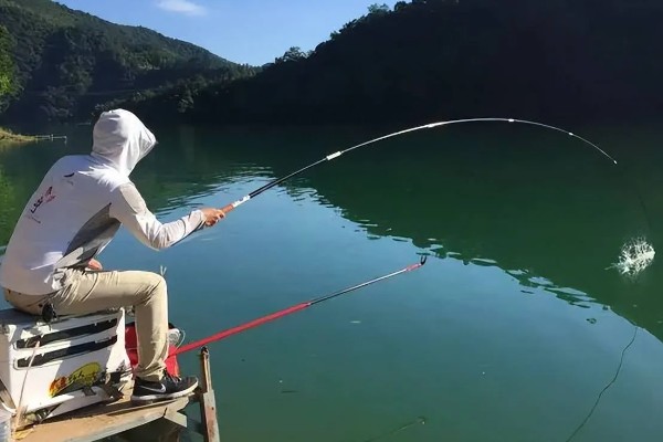 红眼鲮鱼怎么钓，饵料要选择素饵