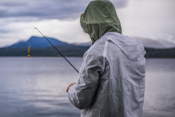 红眼鲮鱼怎么钓，饵料要选择素饵