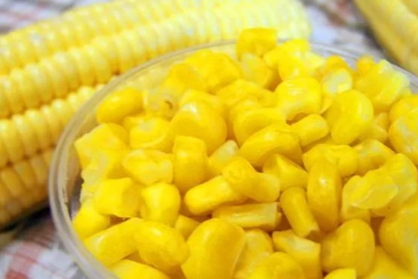 红眼鲮鱼怎么钓，饵料要选择素饵