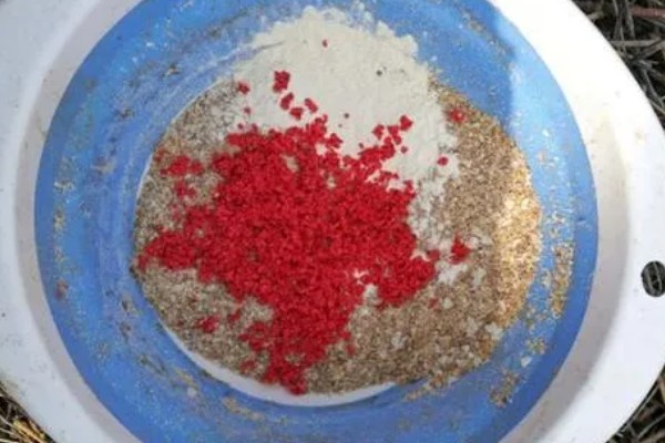 红眼鲮鱼怎么钓，饵料要选择素饵