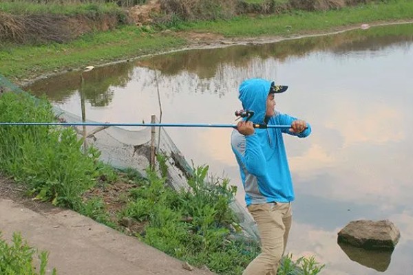 红眼鲮鱼怎么钓，饵料要选择素饵