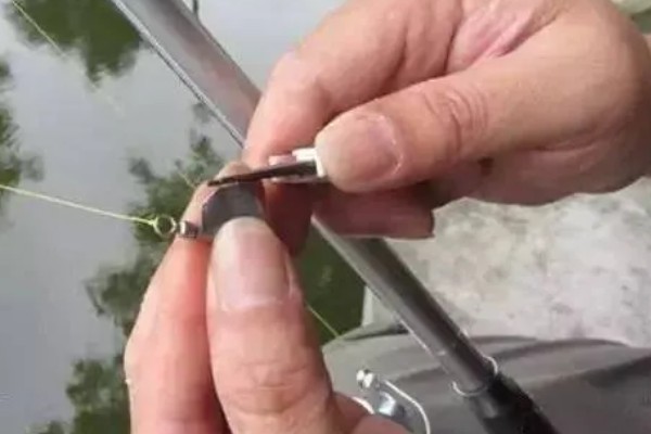 红眼鲮鱼怎么钓，饵料要选择素饵