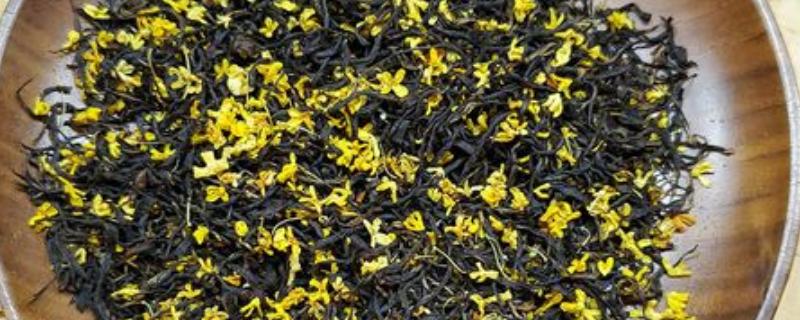 桂花九曲红梅如何制作，要将杂质去掉后再阴干