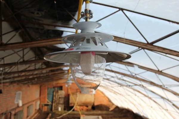 冬季蔬菜种植如何补光,可以采用机械卷帘