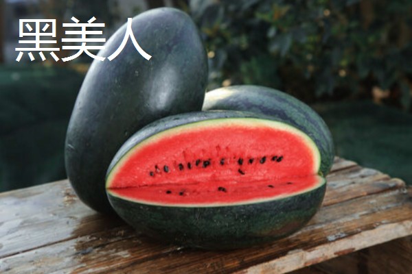 西瓜的适宜种植地区，以下4个区域均适合栽培