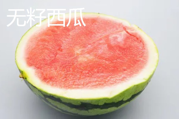 西瓜的适宜种植地区，以下4个区域均适合栽培