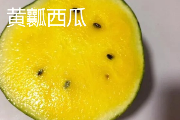 西瓜的适宜种植地区，以下4个区域均适合栽培