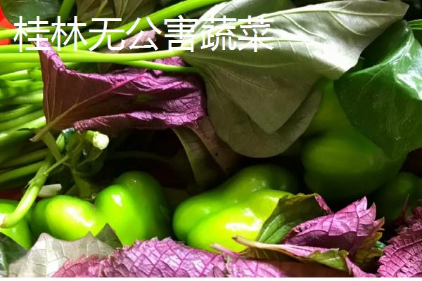 重庆市潼南县的特产，潼南萝卜具有无公害等特色