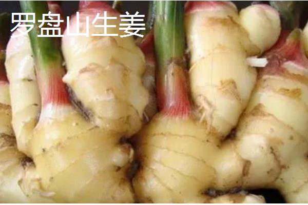 重庆市潼南县的特产，潼南萝卜具有无公害等特色