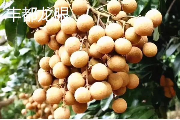 重庆市潼南县的特产，潼南萝卜具有无公害等特色