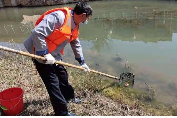 养殖花鲢要注意什么，水温达到6-8℃再放苗