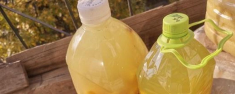 怎么配水培营养液，可以稀释化肥获得