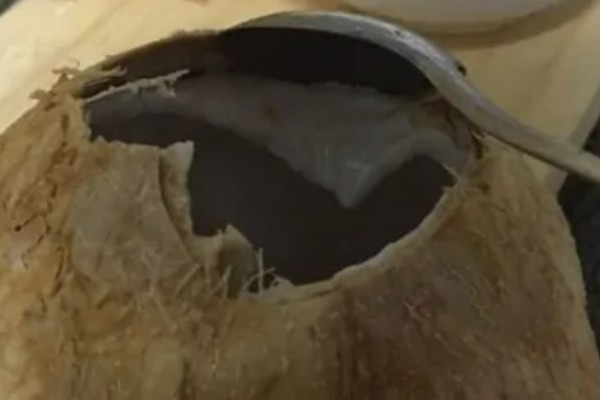 金椰子的简介,一般指泰国香水椰