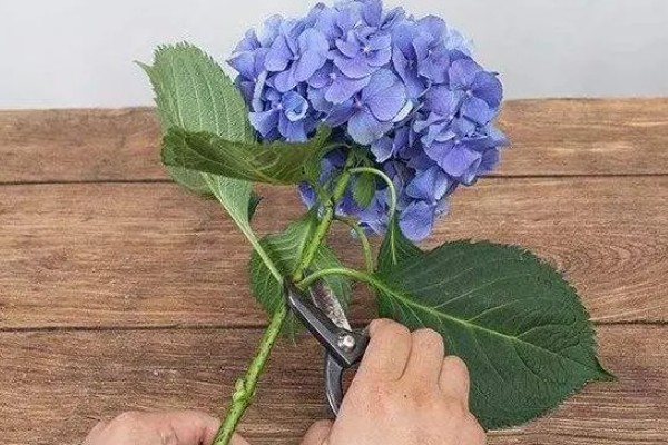 包花神器的包花方式,装饰好后就可以将花束插进去