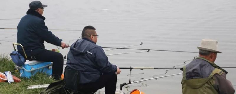 1月份钓鱼时间，以上午10点至下午18点为宜