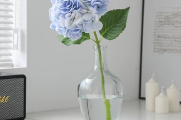 绣球花在几月份开花,6-8月份开花