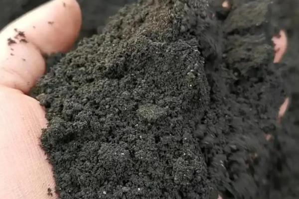 毛汉尼的授粉方法，用棉签蘸取雄蕊的花粉再涂抹到雌蕊上面