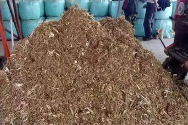 怎么种植蘑菇,出菇初期把湿度保持在70%左右