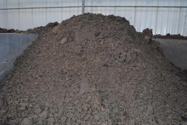 怎么种植蘑菇,出菇初期把湿度保持在70%左右