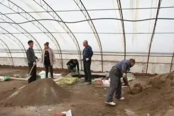 怎么种植蘑菇,出菇初期把湿度保持在70%左右