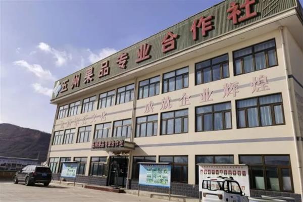 农村合作社有哪些优惠政策，有税收优惠政策