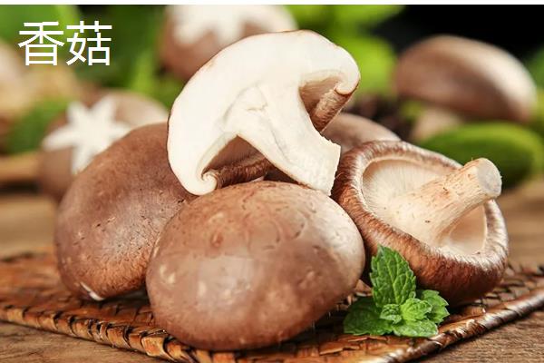 蘑菇的保存期，常温环境下只能保存2-3天左右