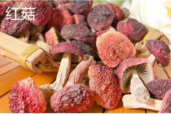 蘑菇的保存期，常温环境下只能保存2-3天左右