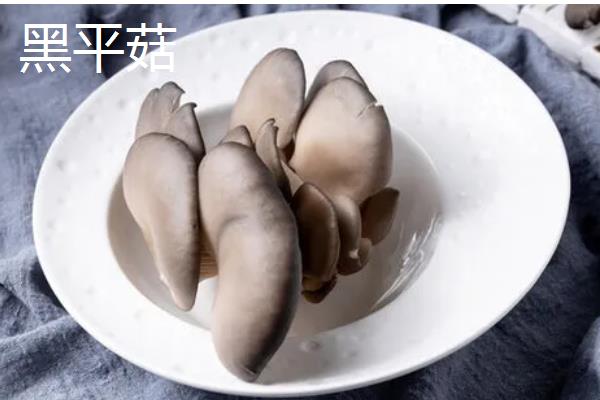 蘑菇的保存期，常温环境下只能保存2-3天左右