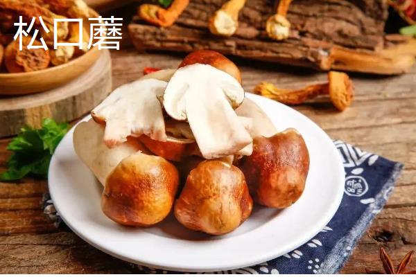 蘑菇的保存期，常温环境下只能保存2-3天左右