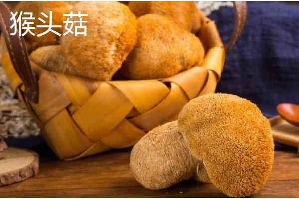 蘑菇的保存期，常温环境下只能保存2-3天左右