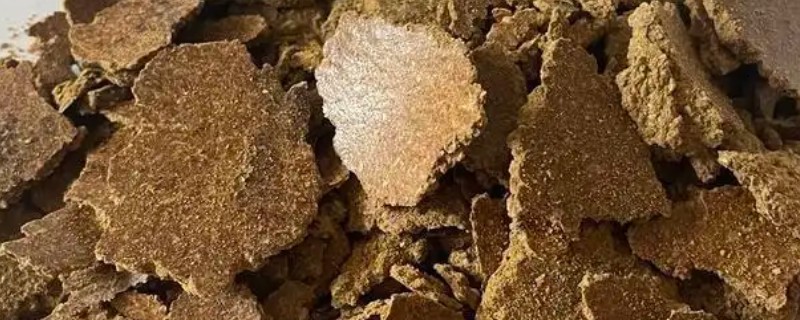 发酵的饼肥生蛆了如何解决，暴晒数小时可以晒死蛆虫