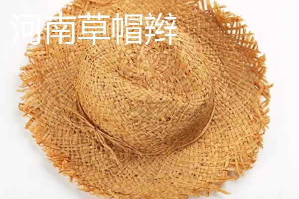 河南省清丰县的特产，有白灵菇、草帽辫等