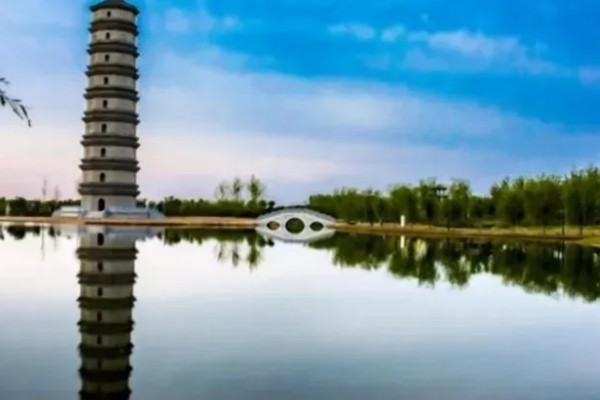 河南省清丰县的特产，有白灵菇、草帽辫等