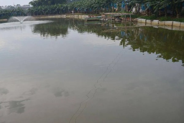 如何养殖螃蟹，当淤泥过深时要进行清淤