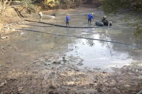 如何养殖螃蟹，当淤泥过深时要进行清淤