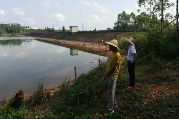 如何养殖螃蟹，当淤泥过深时要进行清淤