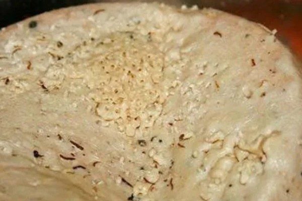 发酵的饼肥生蛆了如何解决，暴晒数小时可以晒死蛆虫